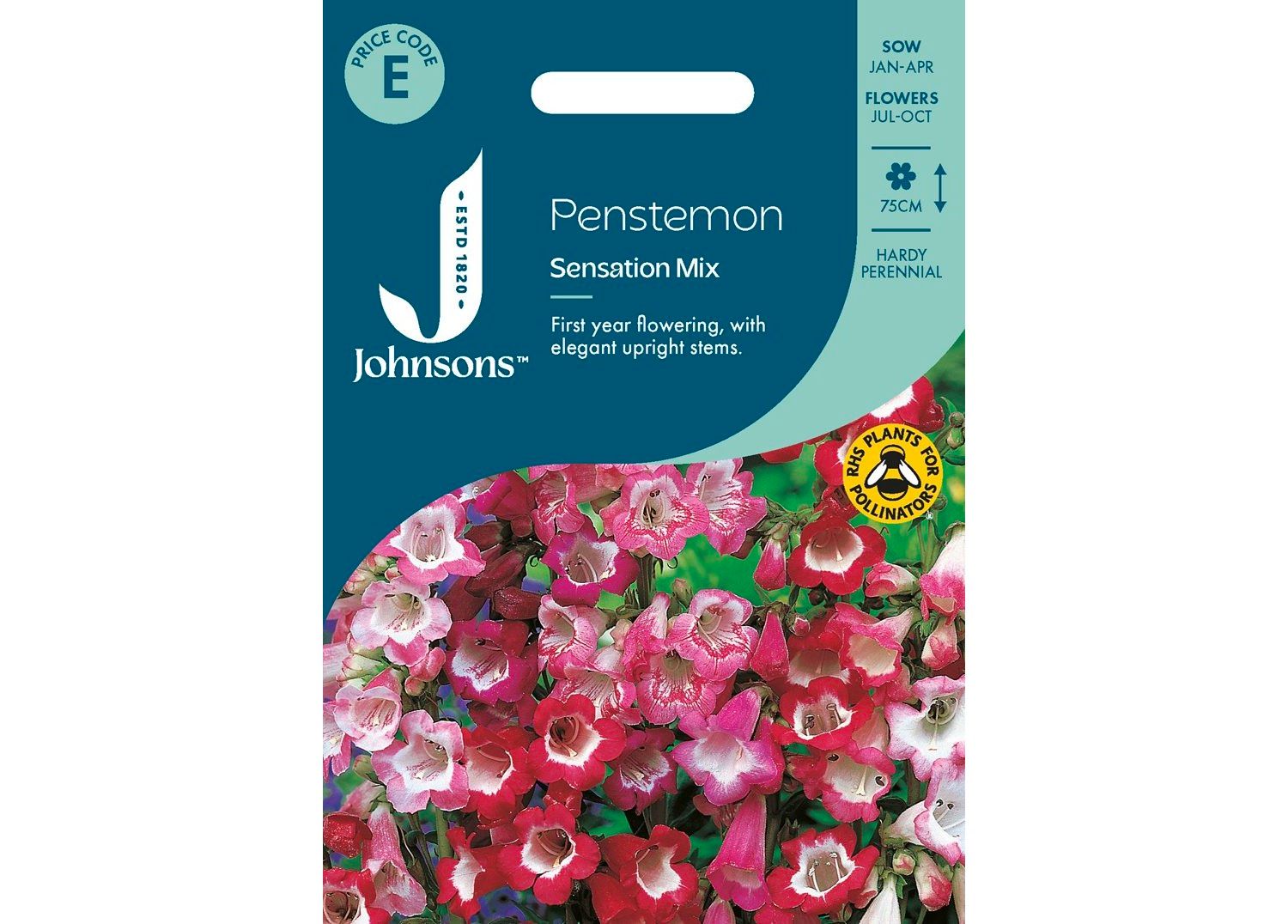 PENSTEMON Sensation Mix PENSTEMON Sensation Mix