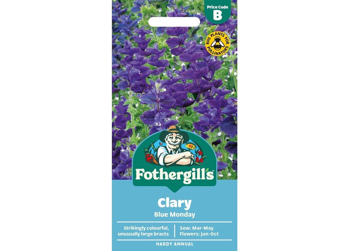 CLARY Blue Monday CLARY Blue Monday