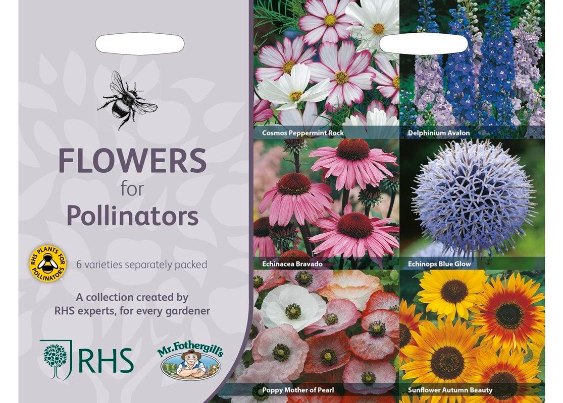 RHS Flowers for Pollinators Collection RHS Flowers for Pollinators Collection