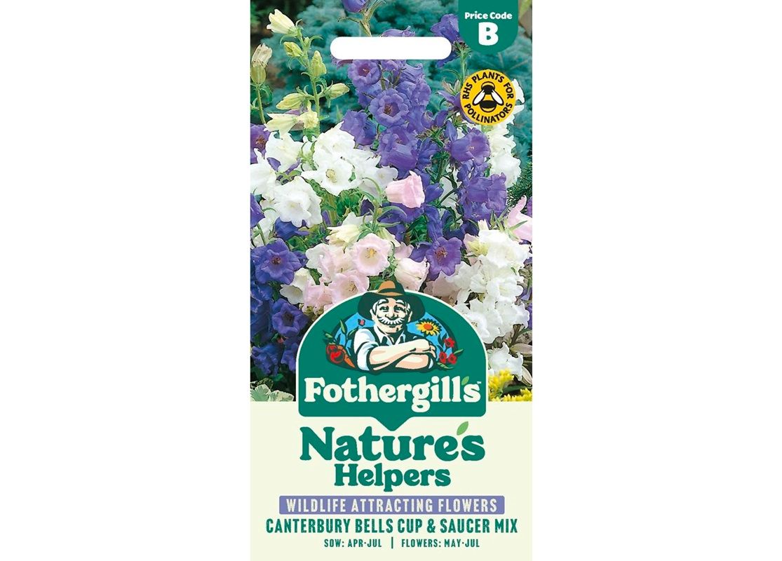 CANTERBURY BELLS Cup &amp; Saucer Mix