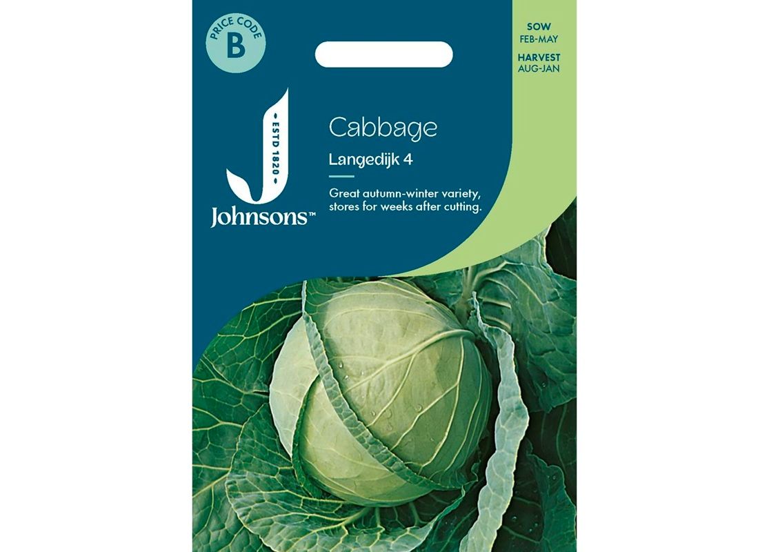 CABBAGE Langedijk 4 CABBAGE Langedijk 4