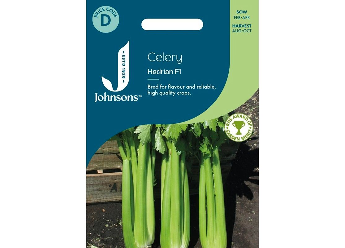 CELERY Hadrian F1