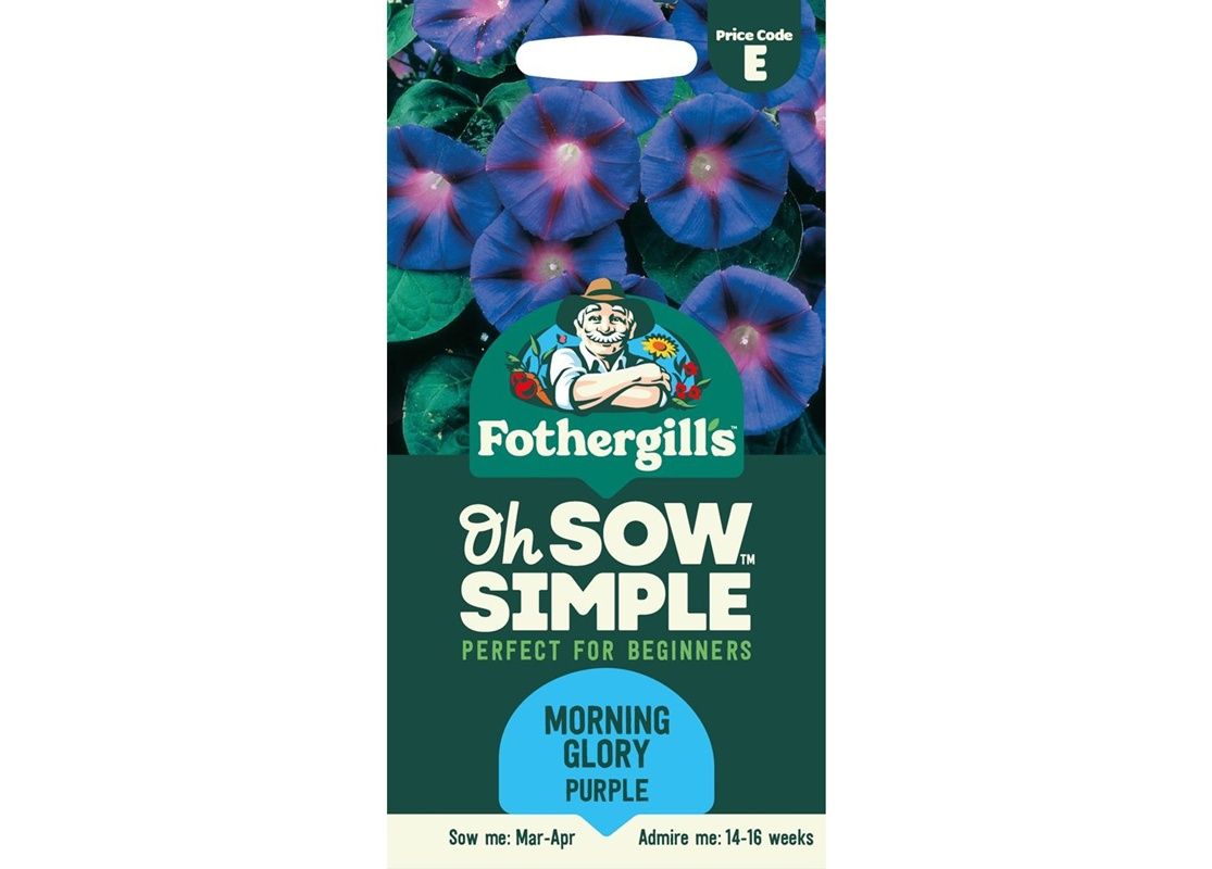 MORNING GLORY Grandpa Otts