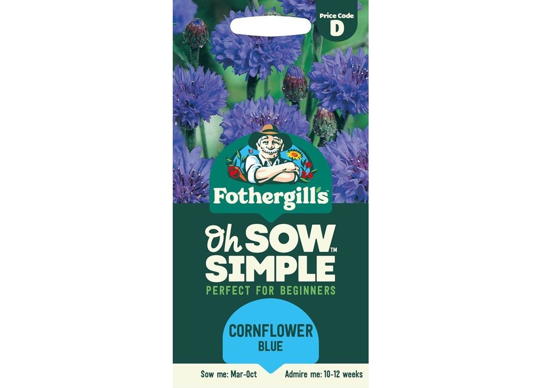 CORNFLOWER Blue Ball CORNFLOWER Blue Ball