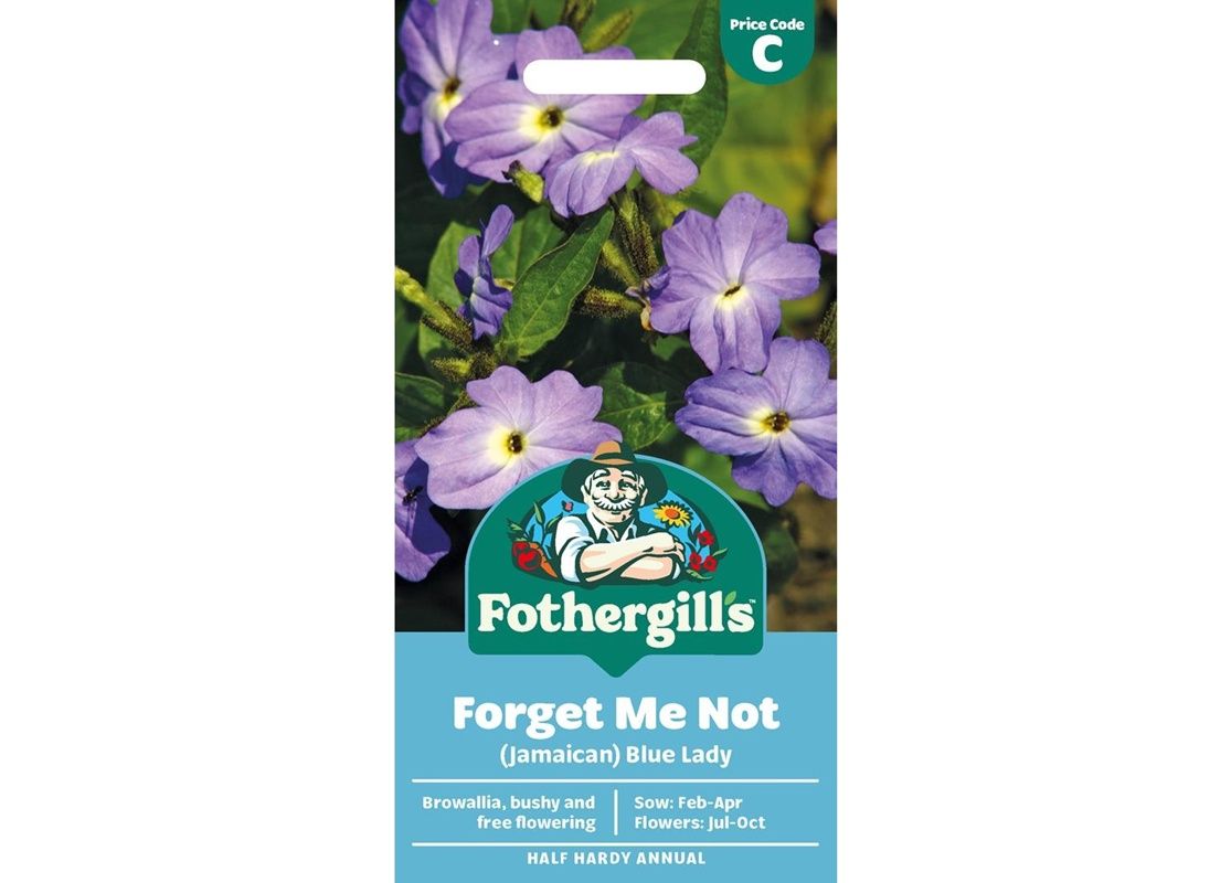 FORGET ME NOT (Jamaican) Blue Lady