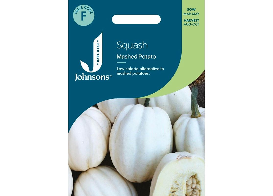 SQUASH Mashed Potato SQUASH Mashed Potato