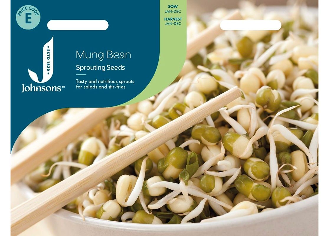 MUNG BEAN Sprouting Seeds