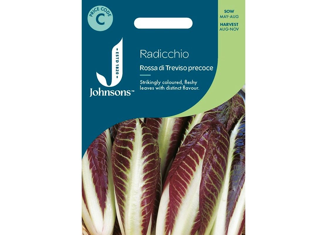RADICCHIO Rossa di Treviso precoce RADICCHIO Rossa di Treviso precoce