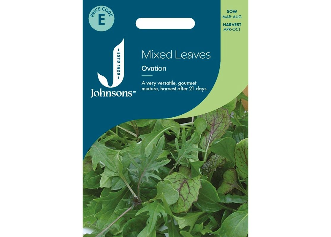 MIXED LEAVES Ovation MIXED LEAVES Ovation