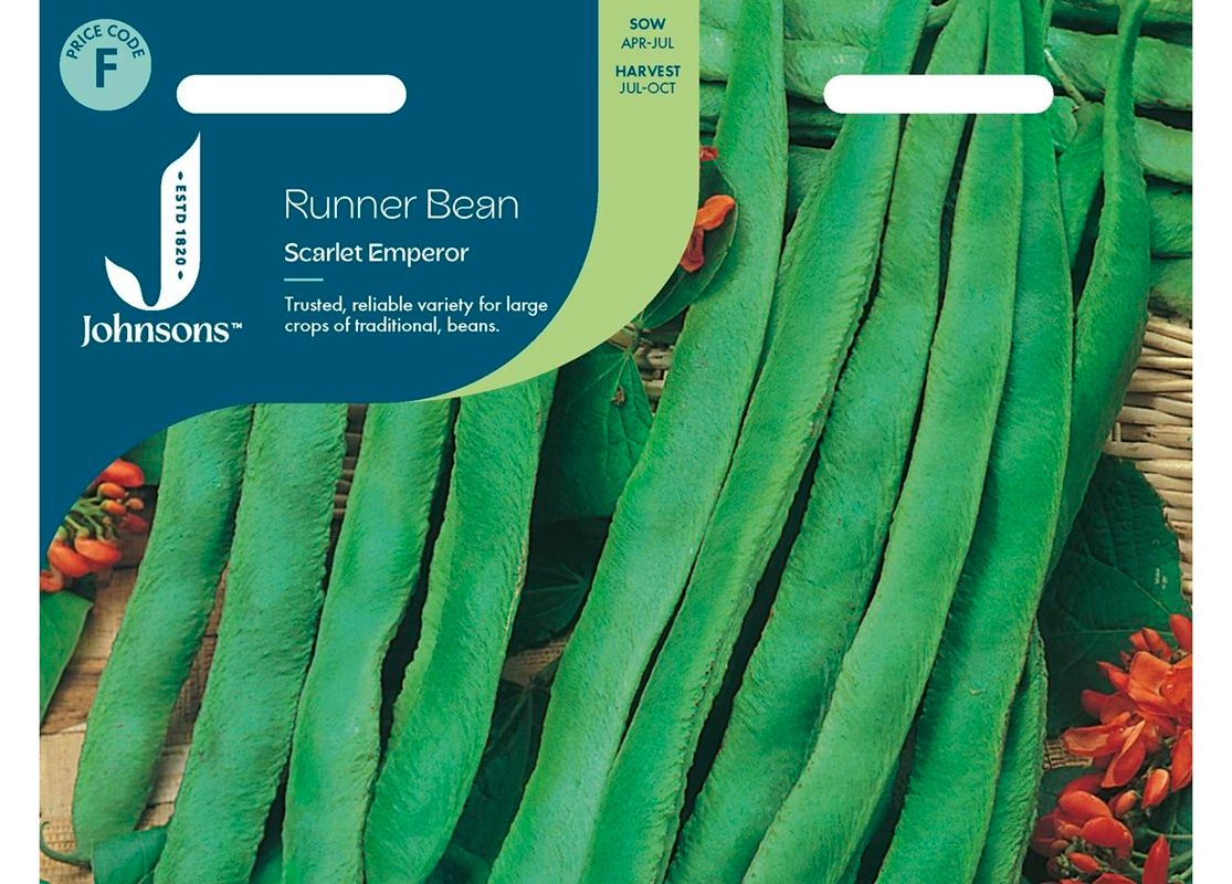 RUNNER BEAN Scarlet Emperor RUNNER BEAN Scarlet Emperor