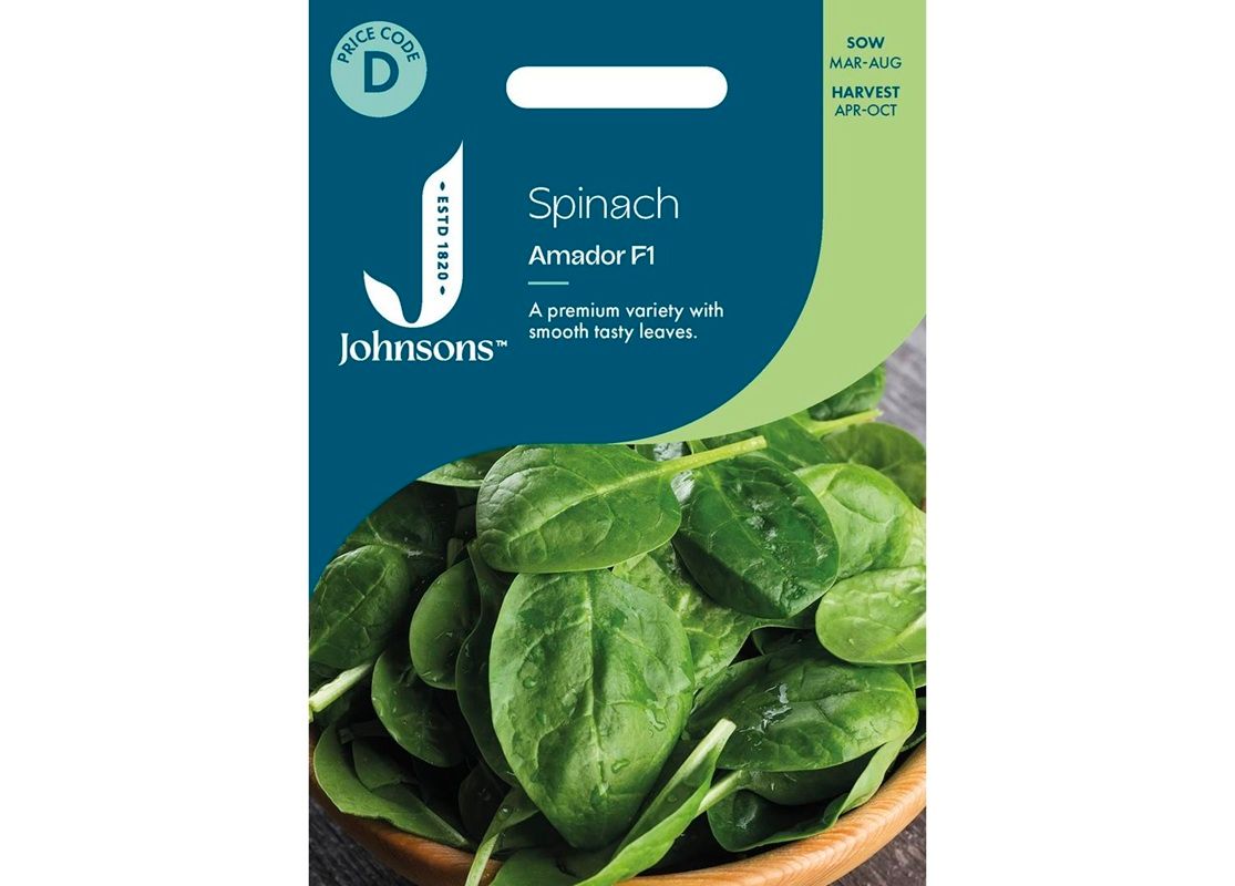 SPINACH Amador F1
