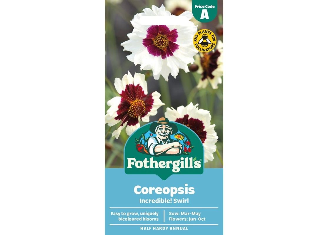 COREOPSIS Incredible! Swirl