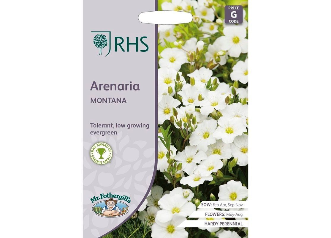 RHS ARENARIA montana