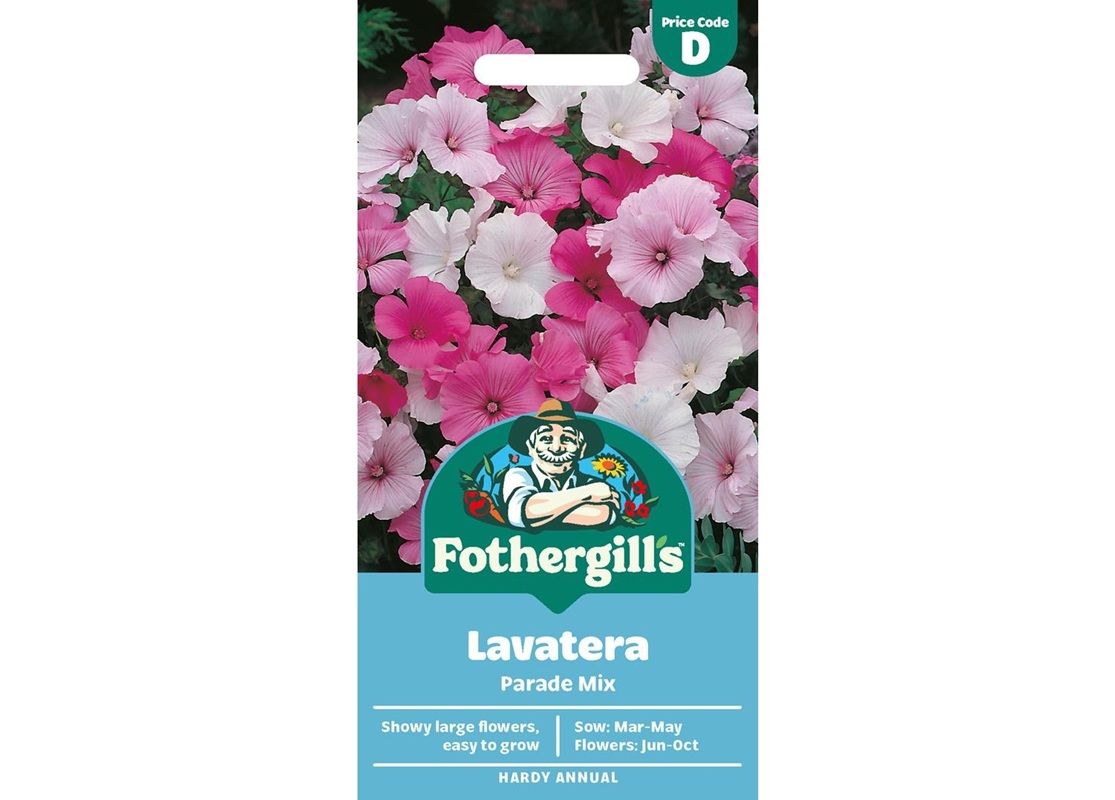 LAVATERA Parade Mix LAVATERA Parade Mix