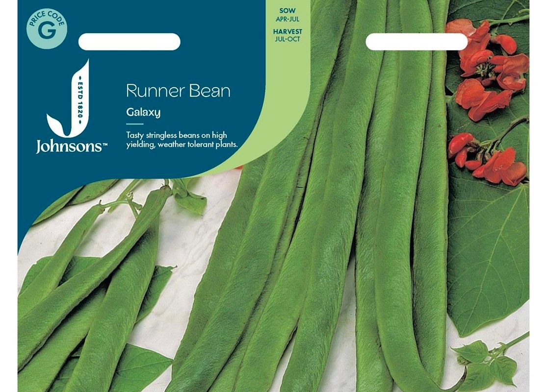 RUNNER BEAN Galaxy RUNNER BEAN Galaxy