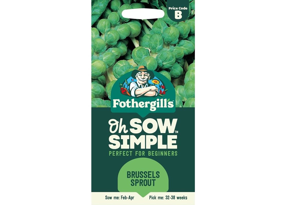 BRUSSELS SPROUT Evesham Special