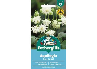 AQUILEGIA Lime Sorbet AQUILEGIA Lime Sorbet