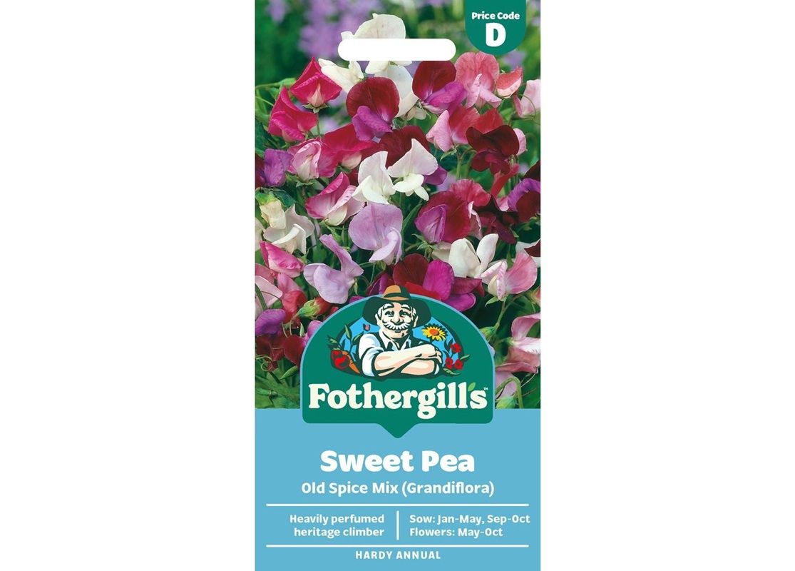 SWEET PEA Old Spice Mix (Grandiflora)