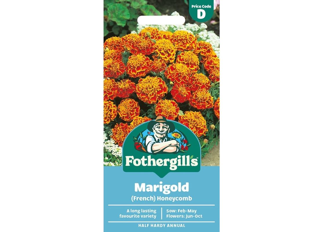 MARIGOLD (French) Honeycomb MARIGOLD (French) Honeycomb