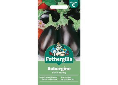 AUBERGINE Black Beauty