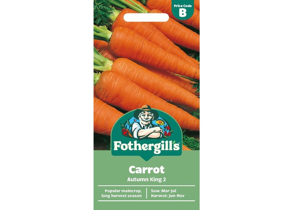 CARROT Autumn King 2