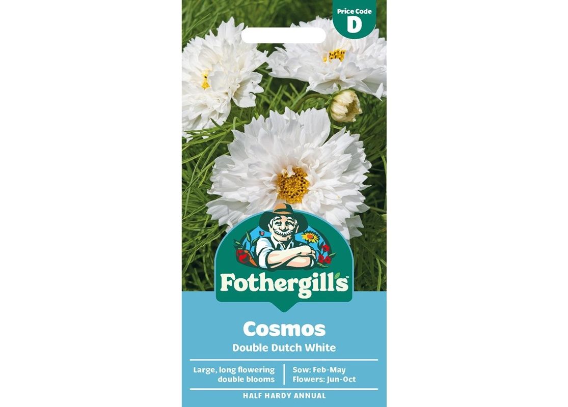 COSMOS Double Dutch White