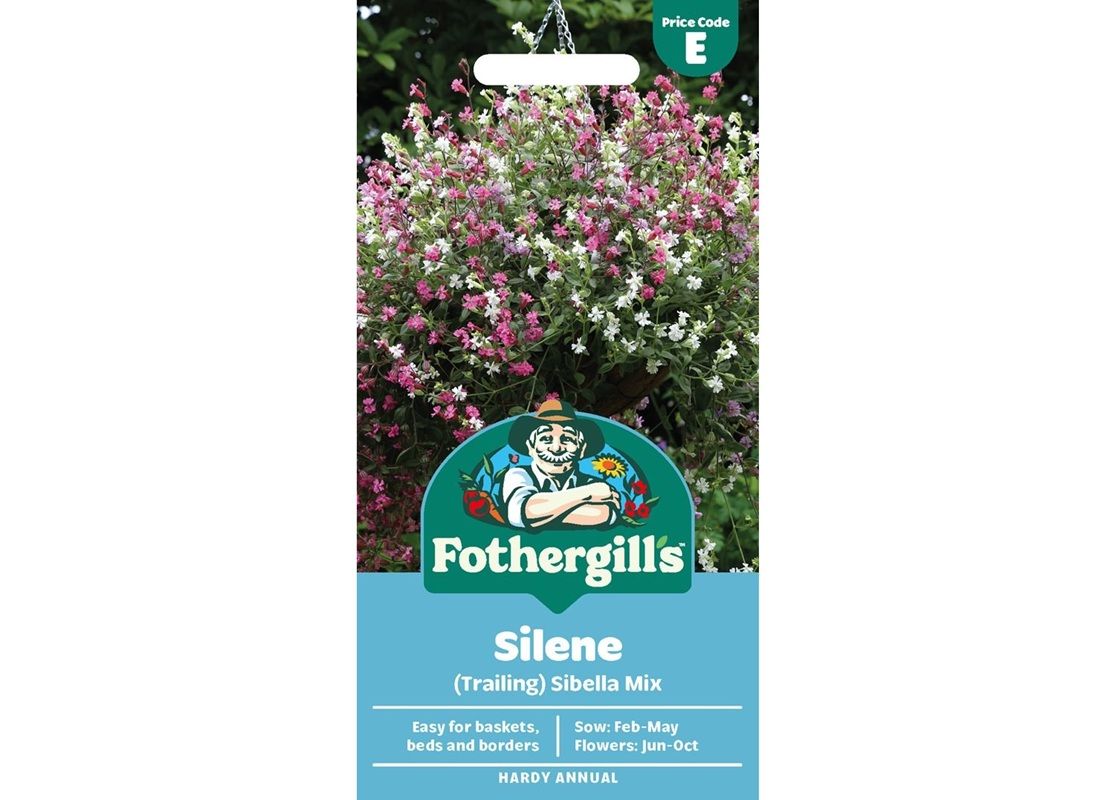 SILENE Sibella Mix (Trailing)