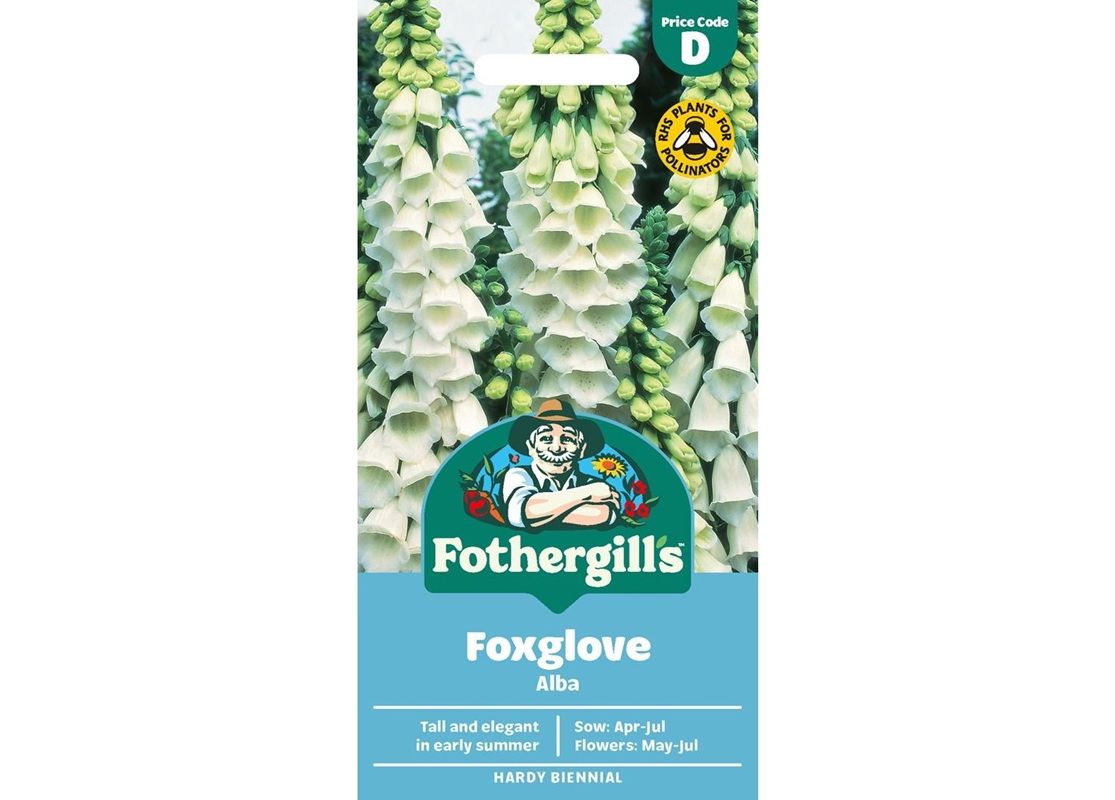 FOXGLOVE Alba