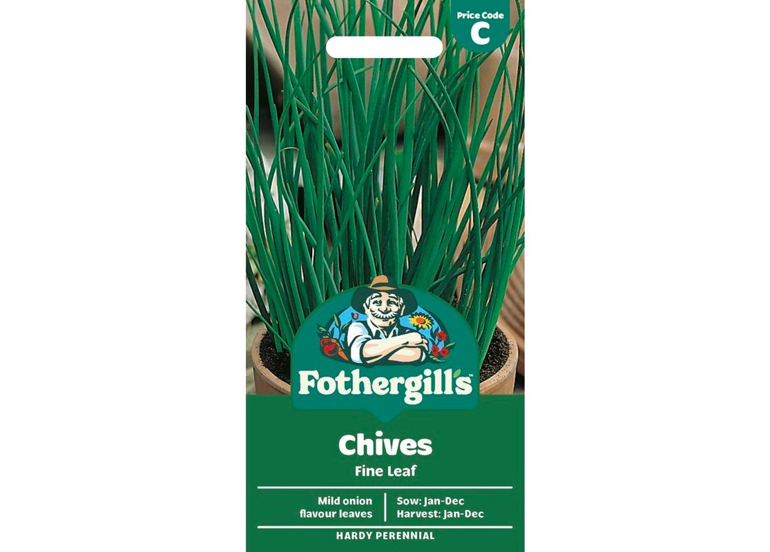 CHIVES Fine Leaf