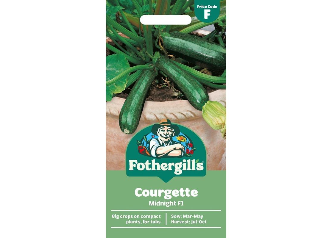 COURGETTE Midnight F1