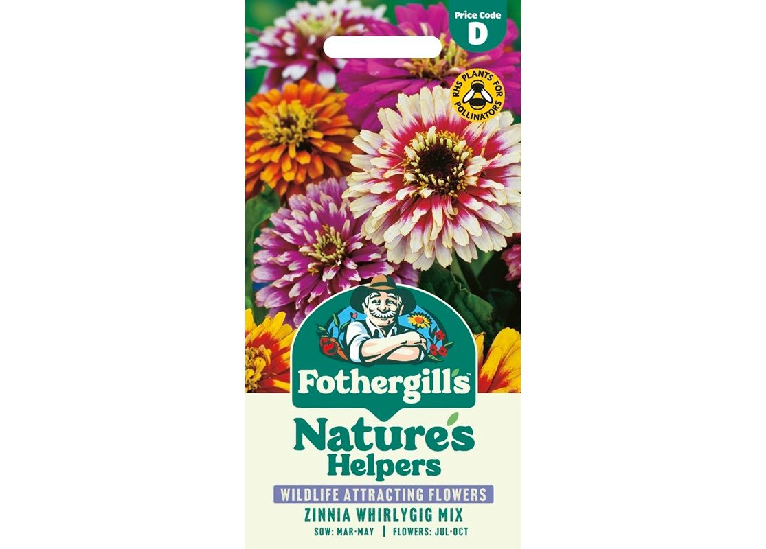 ZINNIA Whirlygig Mix