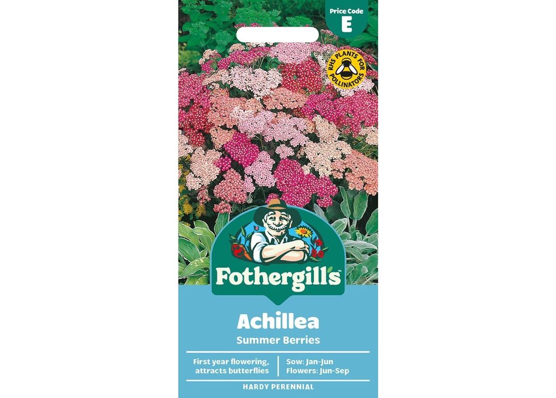 ACHILLEA Summer Berries ACHILLEA Summer Berries