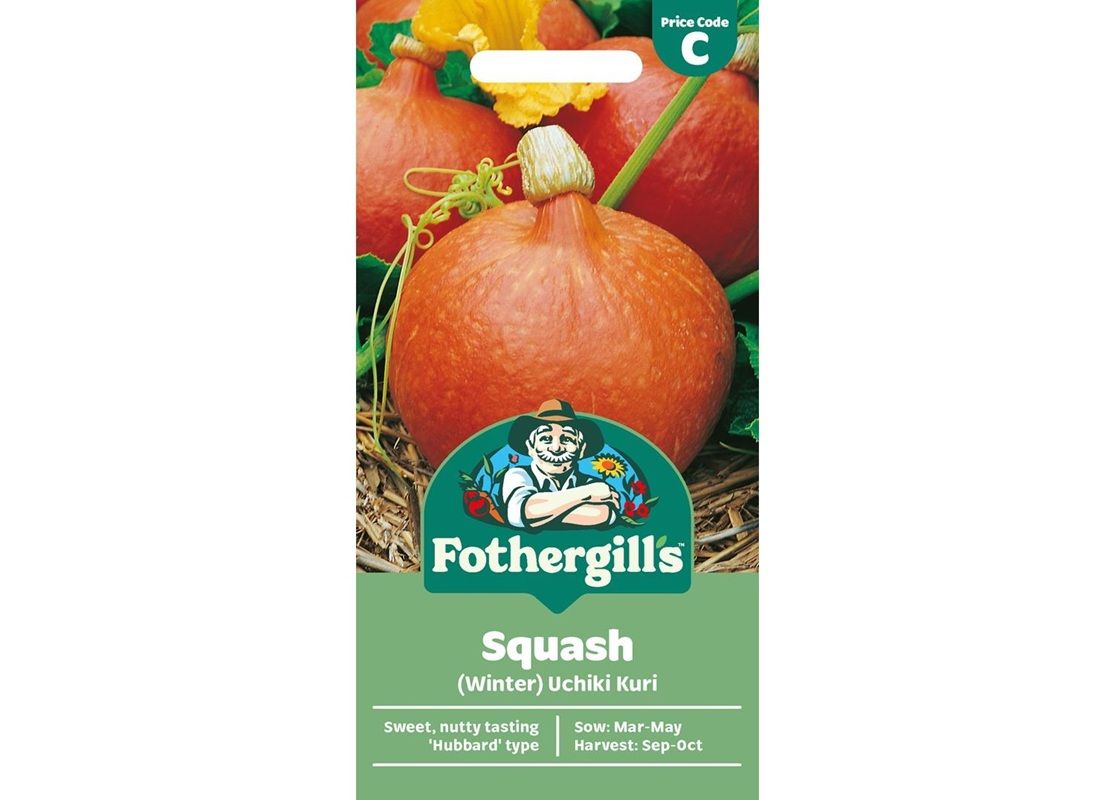 SQUASH (Winter) Uchiki Kuri