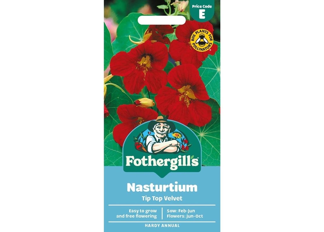 NASTURTIUM Tip Top Velvet
