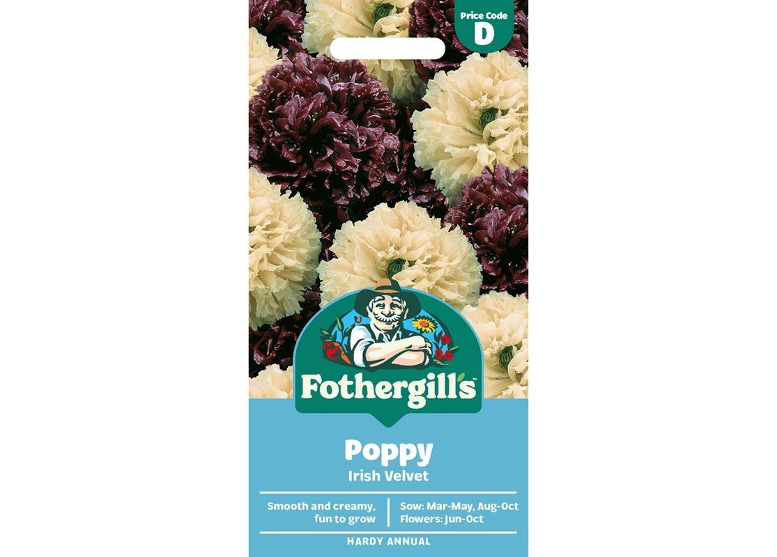 POPPY Irish Velvet POPPY Irish Velvet