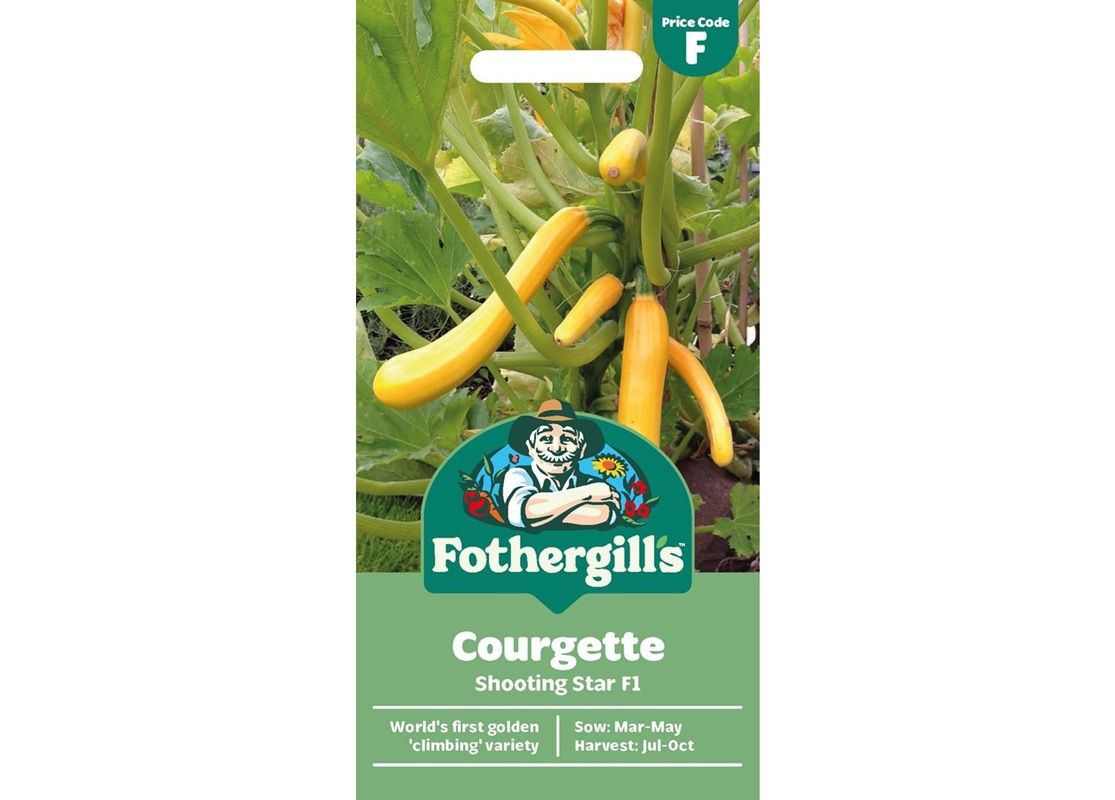 COURGETTE Shooting Star F1 COURGETTE Shooting Star F1