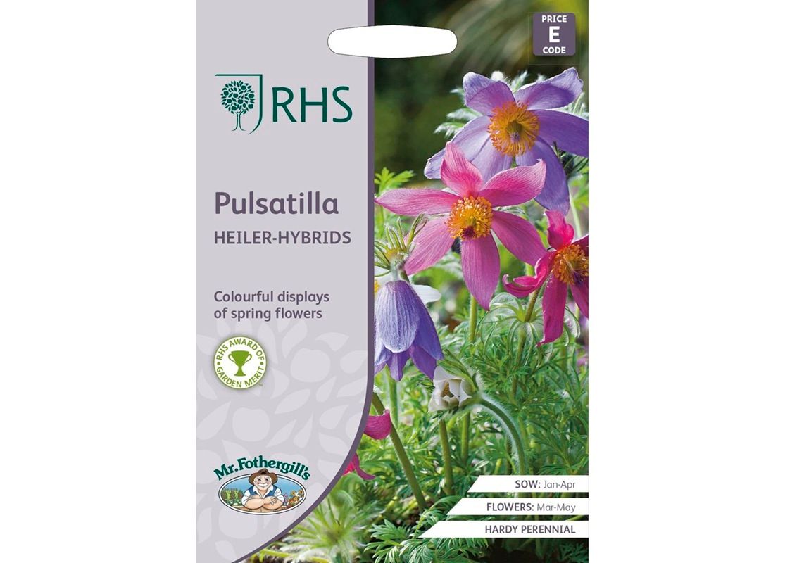 RHS Pulsatilla Heiler-Hybrids