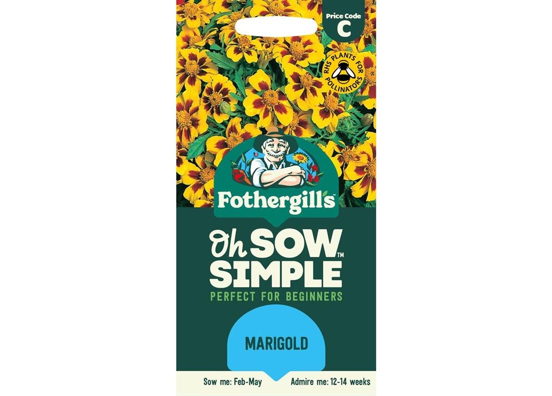 MARIGOLD (French) Naughty Marietta