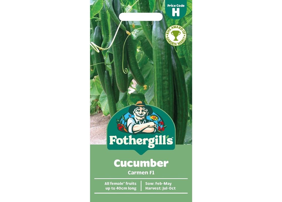 CUCUMBER Carmen F1