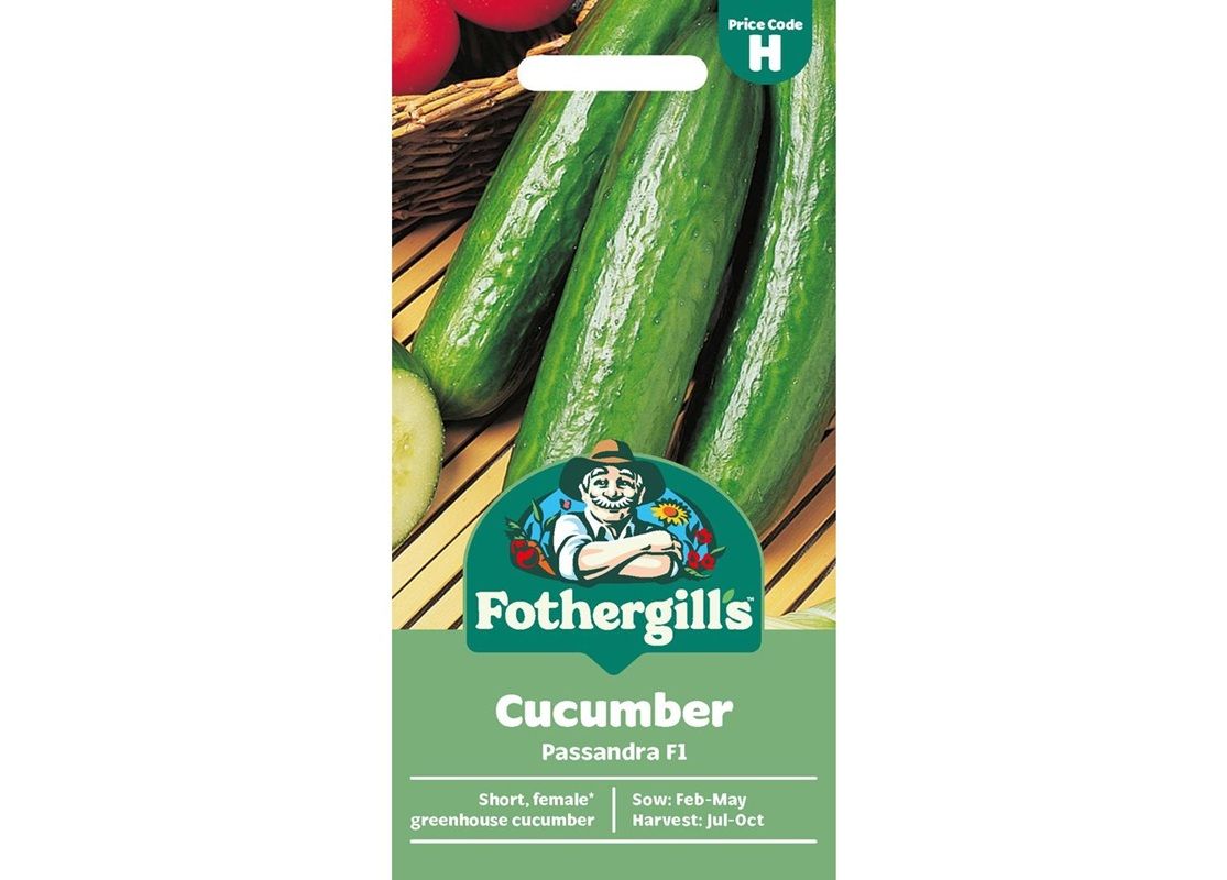 CUCUMBER Passandra F1 CUCUMBER Passandra F1
