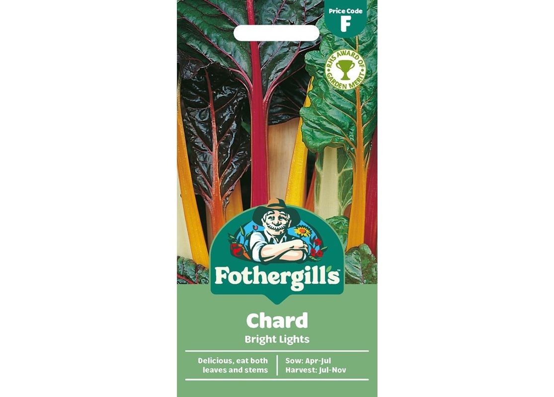 CHARD Bright Lights CHARD Bright Lights