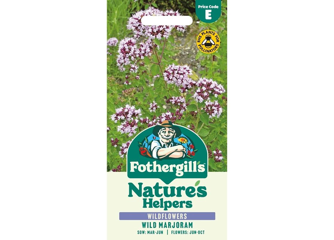 Wild Marjoram Wild Marjoram