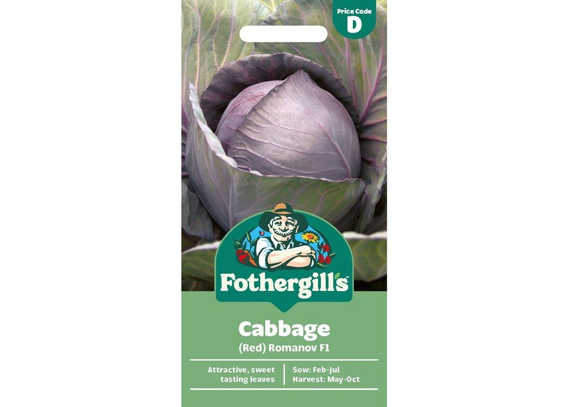 CABBAGE (Red) Romanov F1 CABBAGE (Red) Romanov F1
