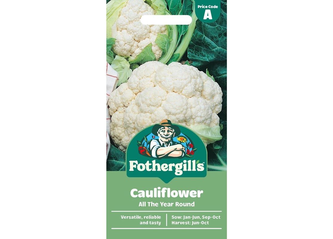 CAULIFLOWER All The Year Round
