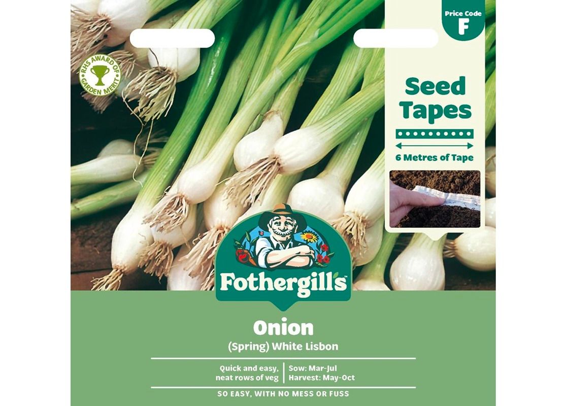 TAPE ONION (Spring) White Lisbon TAPE ONION (Spring) White Lisbon