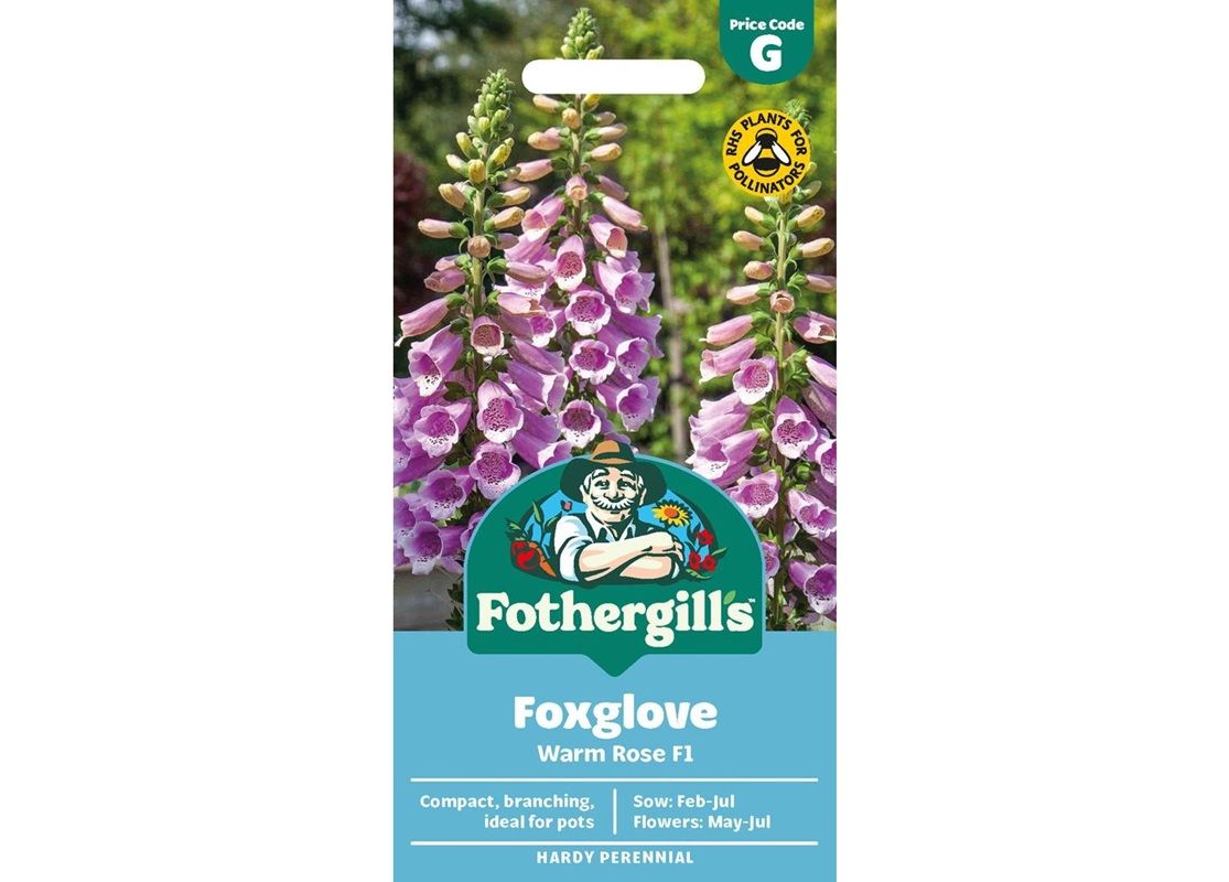 FOXGLOVE Warm Rose F1