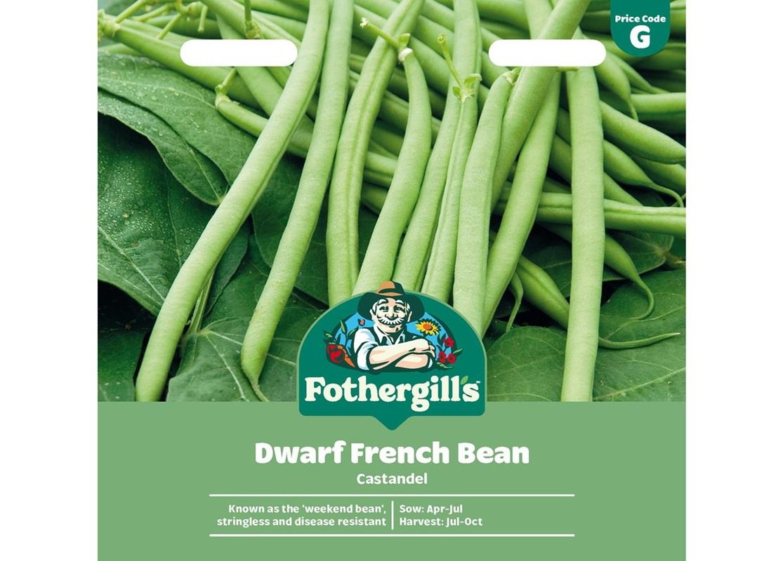 DWARF FRENCH BEAN Castandel