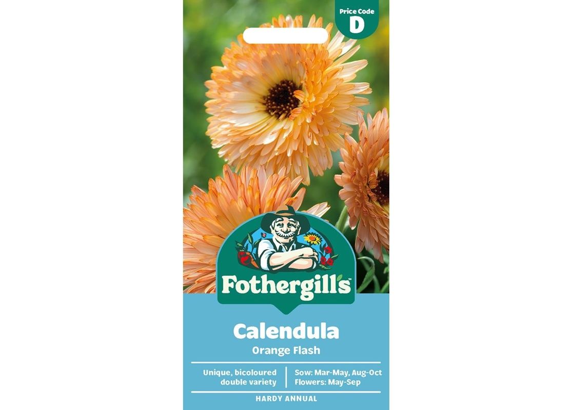 CALENDULA Orange Flash CALENDULA Orange Flash