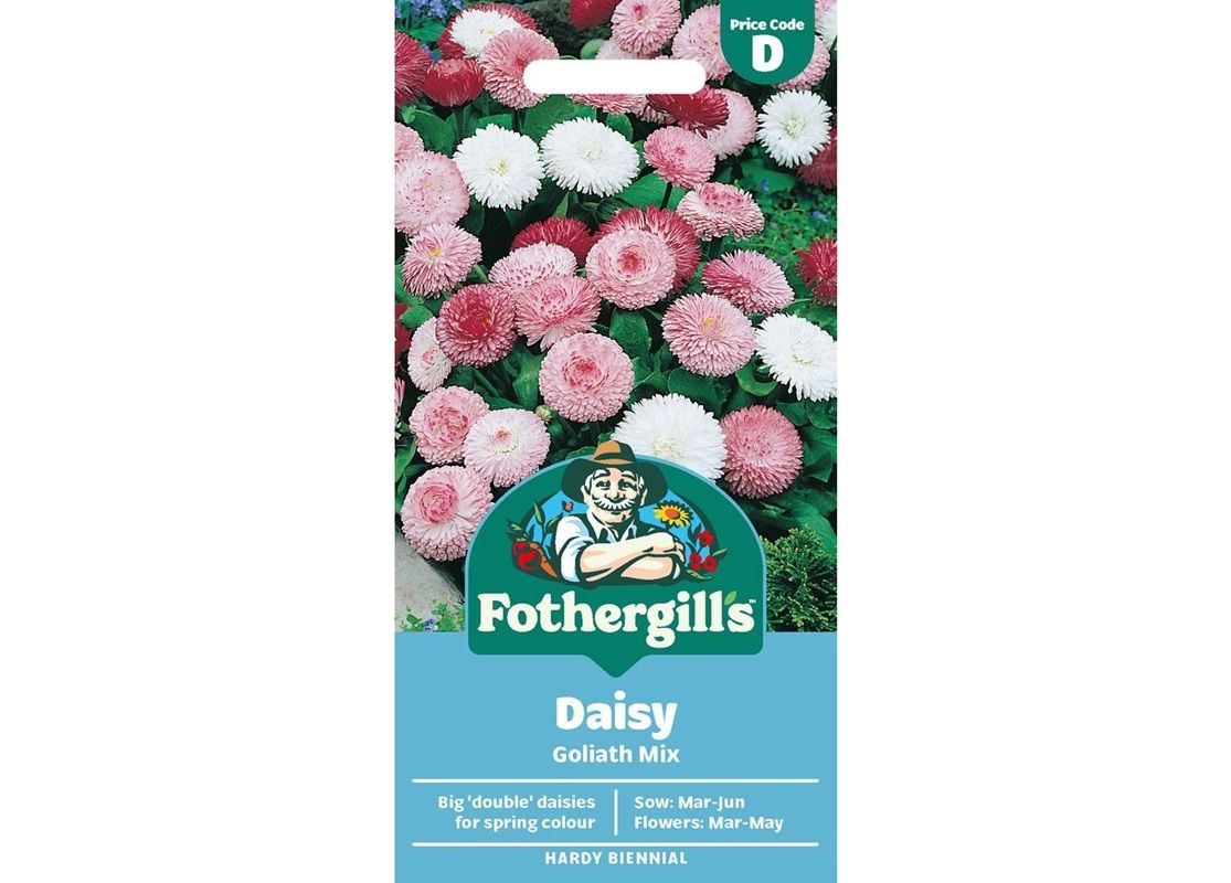 DAISY Goliath Mix DAISY Goliath Mix