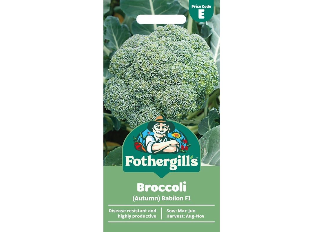 BROCCOLI (Autumn) Babilon F1
